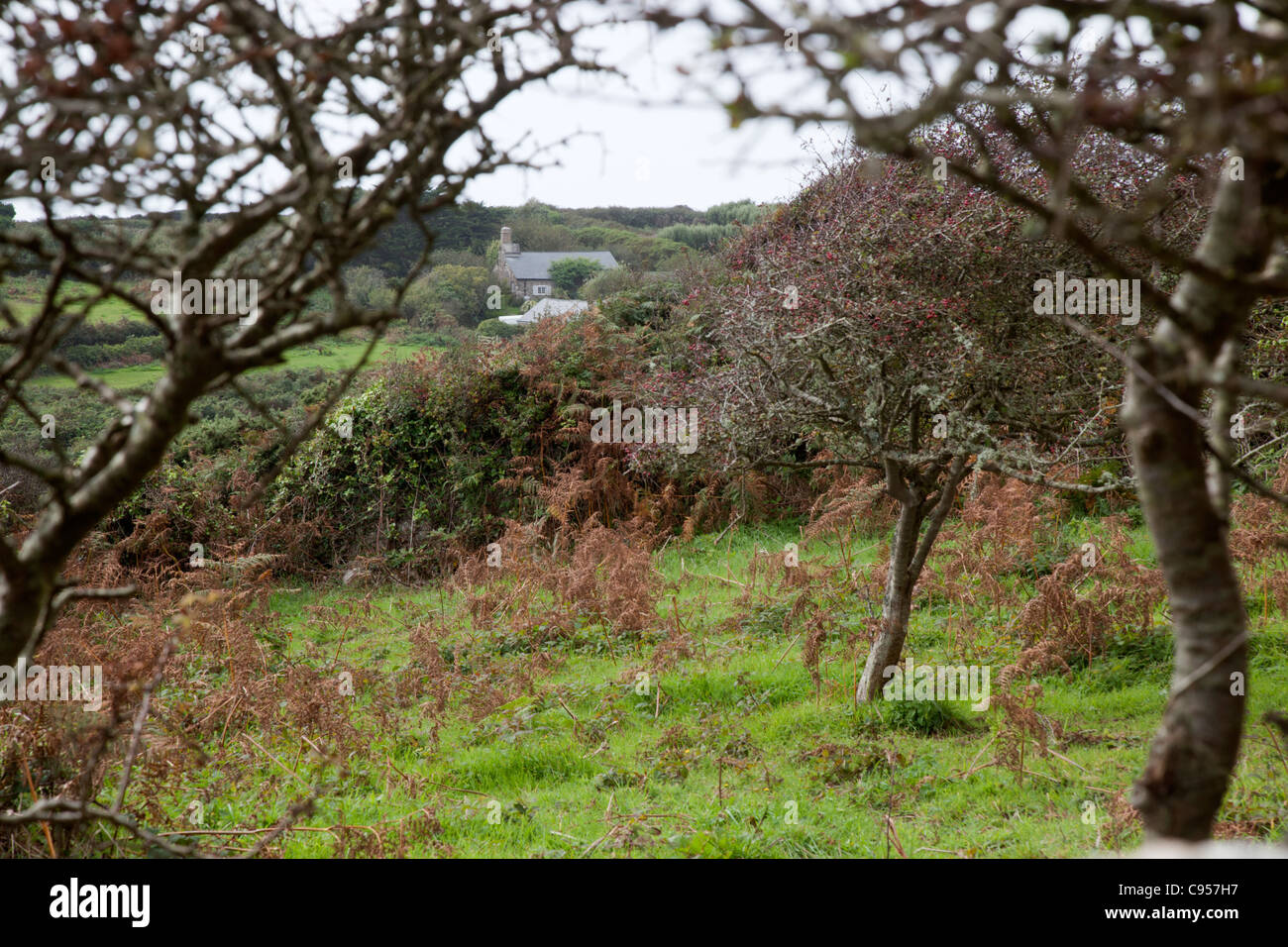 Oliver Land Naturschutzgebiet; Später; Cornwall; Legat Derek und Jeannie Tangye Stockfoto