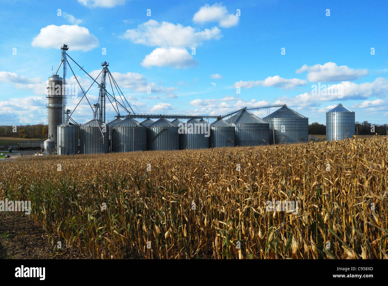 Mais auf großen Bauernhof verarbeitet. Stockfoto