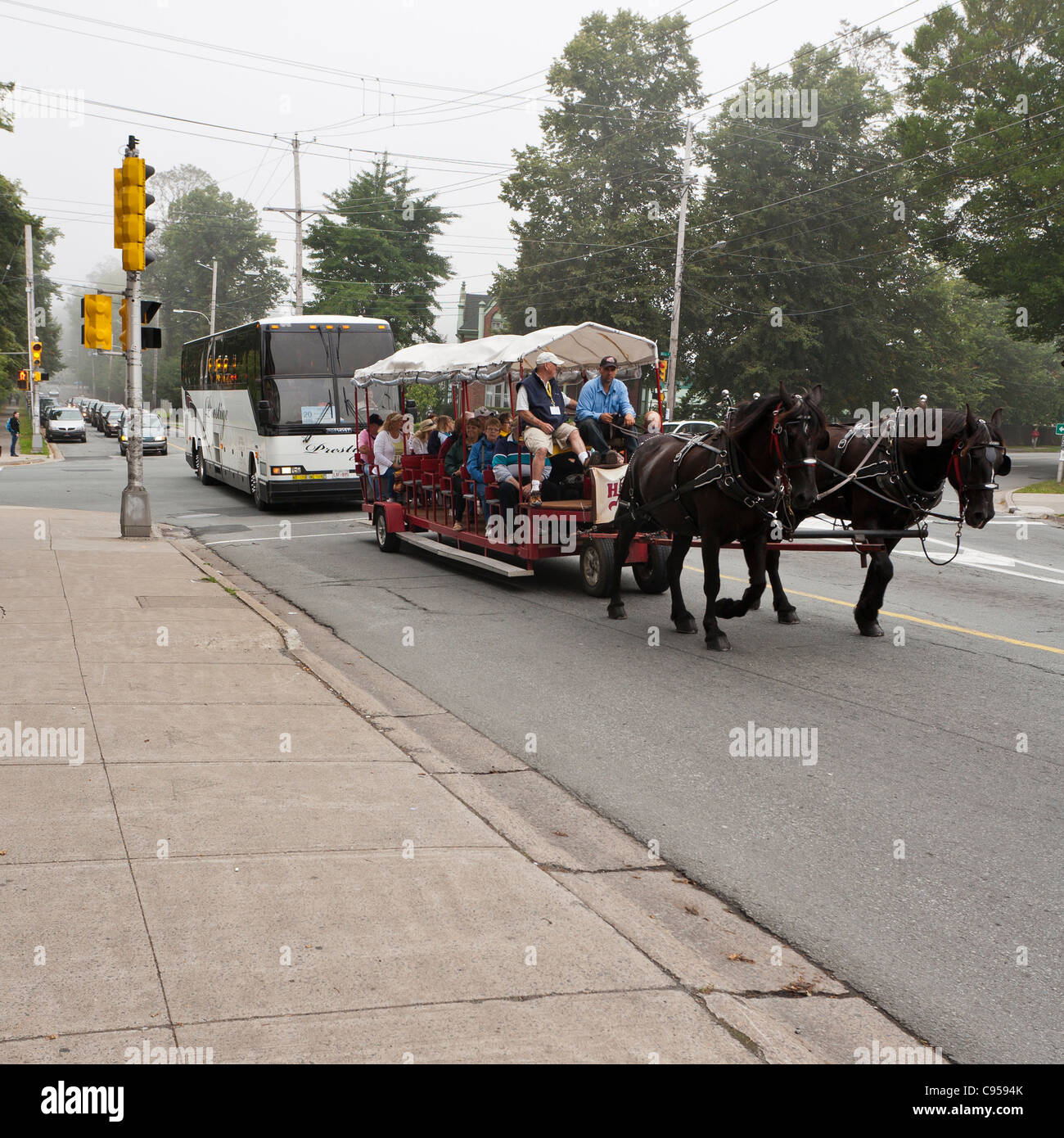 Touristen, die Datenverkehr blockiert. Ein Wagen von Pferden gezogen blockiert einen Tourbus und einer langen Reihe von Verkehr auf einer Straße in Halifax Stockfoto