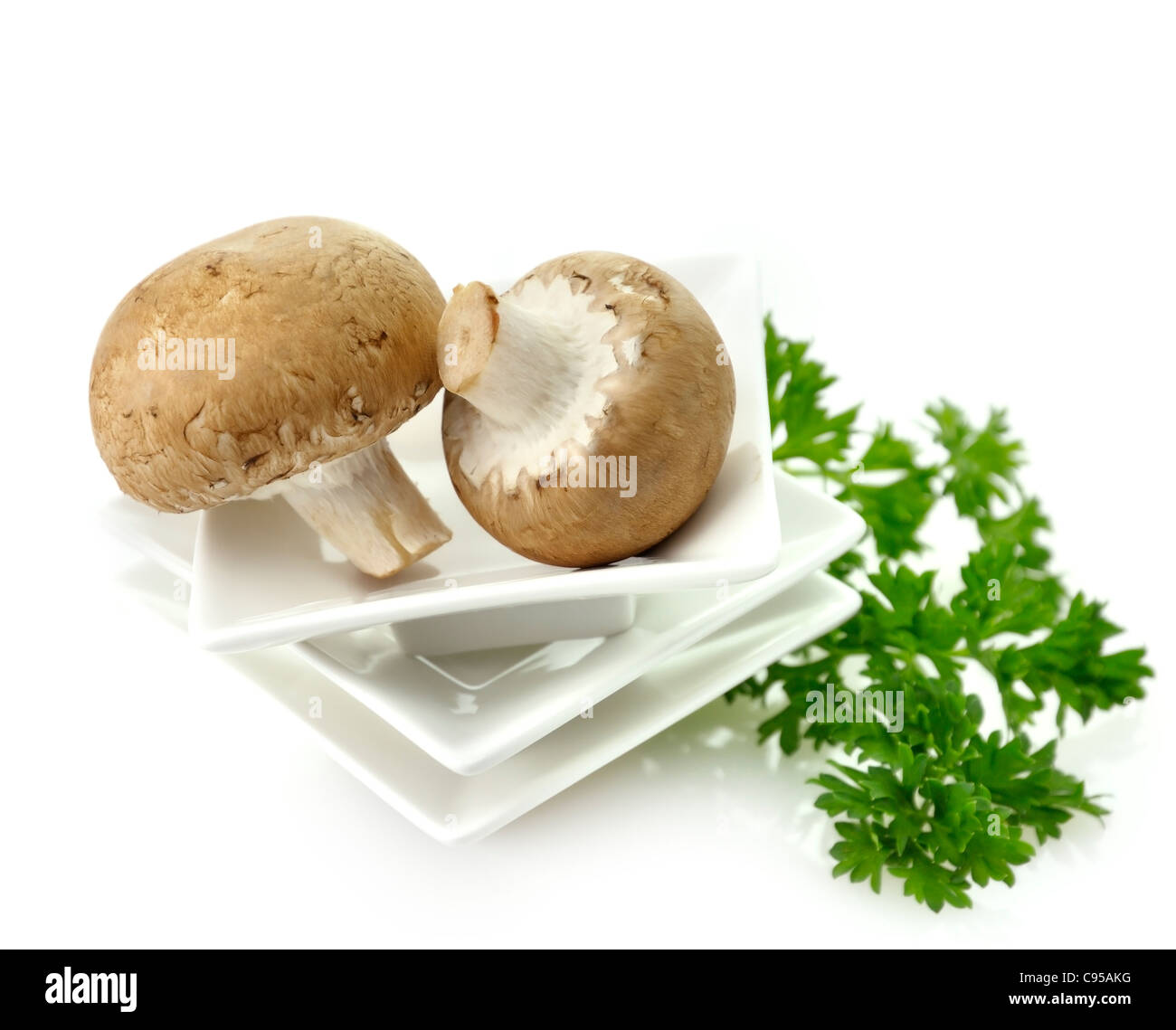 Braune Champignons In einer weißen Schüssel, Nahaufnahme Stockfoto