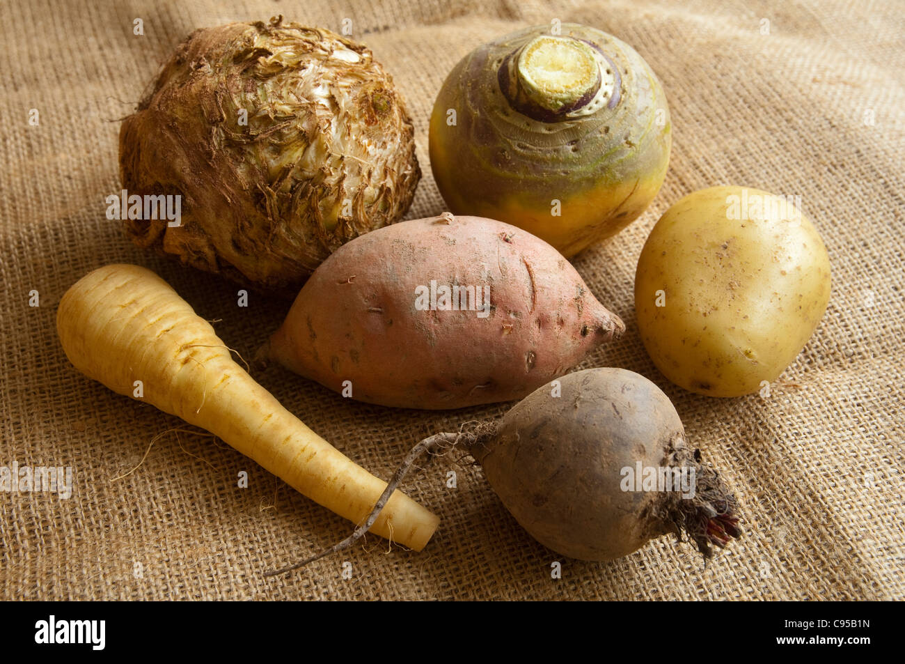 Wurzel Wintergemüse - Sellerie, Schwede, Kartoffeln, Süßkartoffeln, Pastinaken und rote Beete. UK Stockfoto