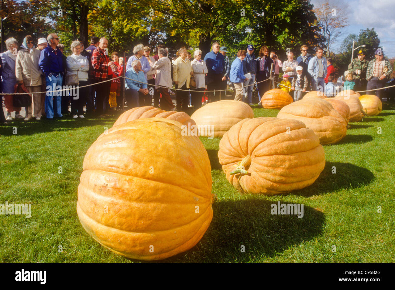 Riesen-Kürbis-Wettbewerb in Phillipston, Massachusetts Stockfoto