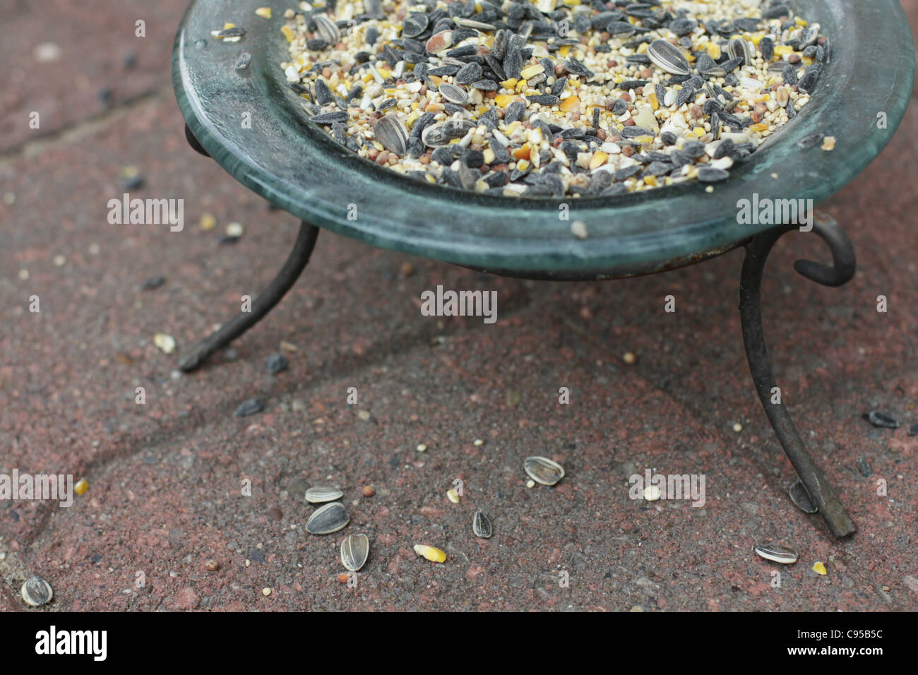 Eine Schüssel mit Vogelfutter auf einer Terrasse. Stockfoto
