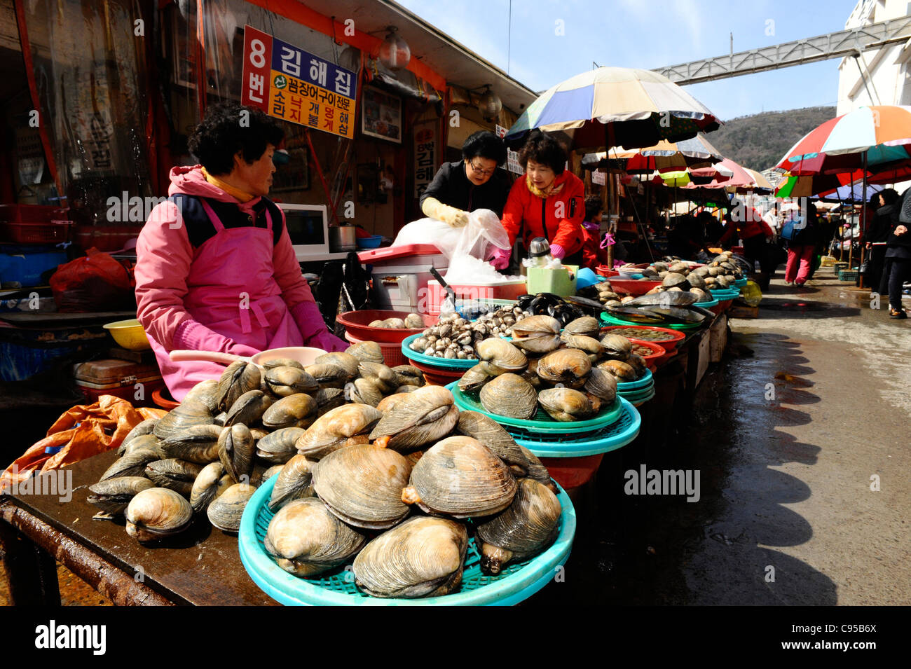 Jagalchi Fischmarkt, Busan, Südkorea. Stockfoto