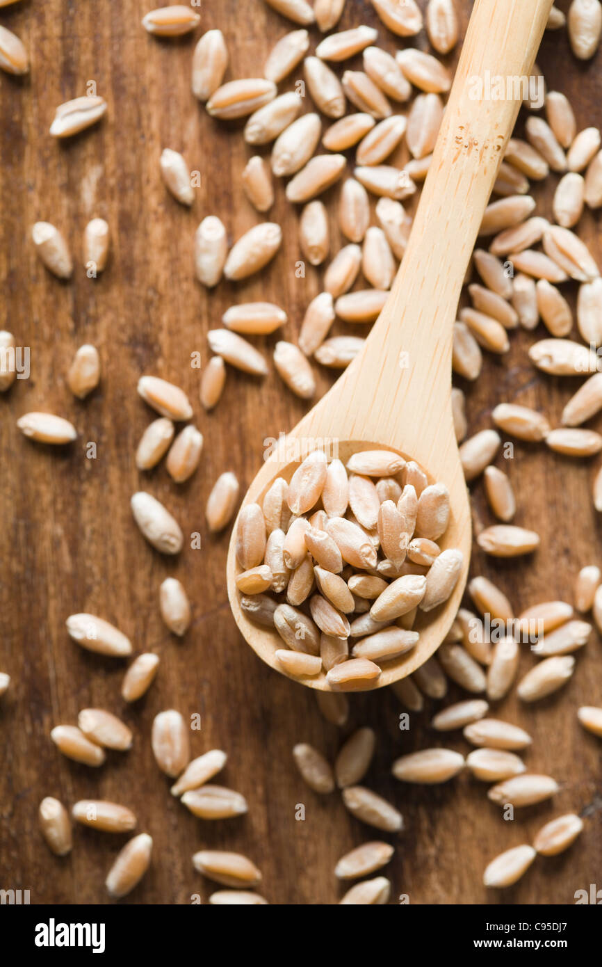 Löffel mit Vollkorn Bio harten roten Winterweizen Stockfoto