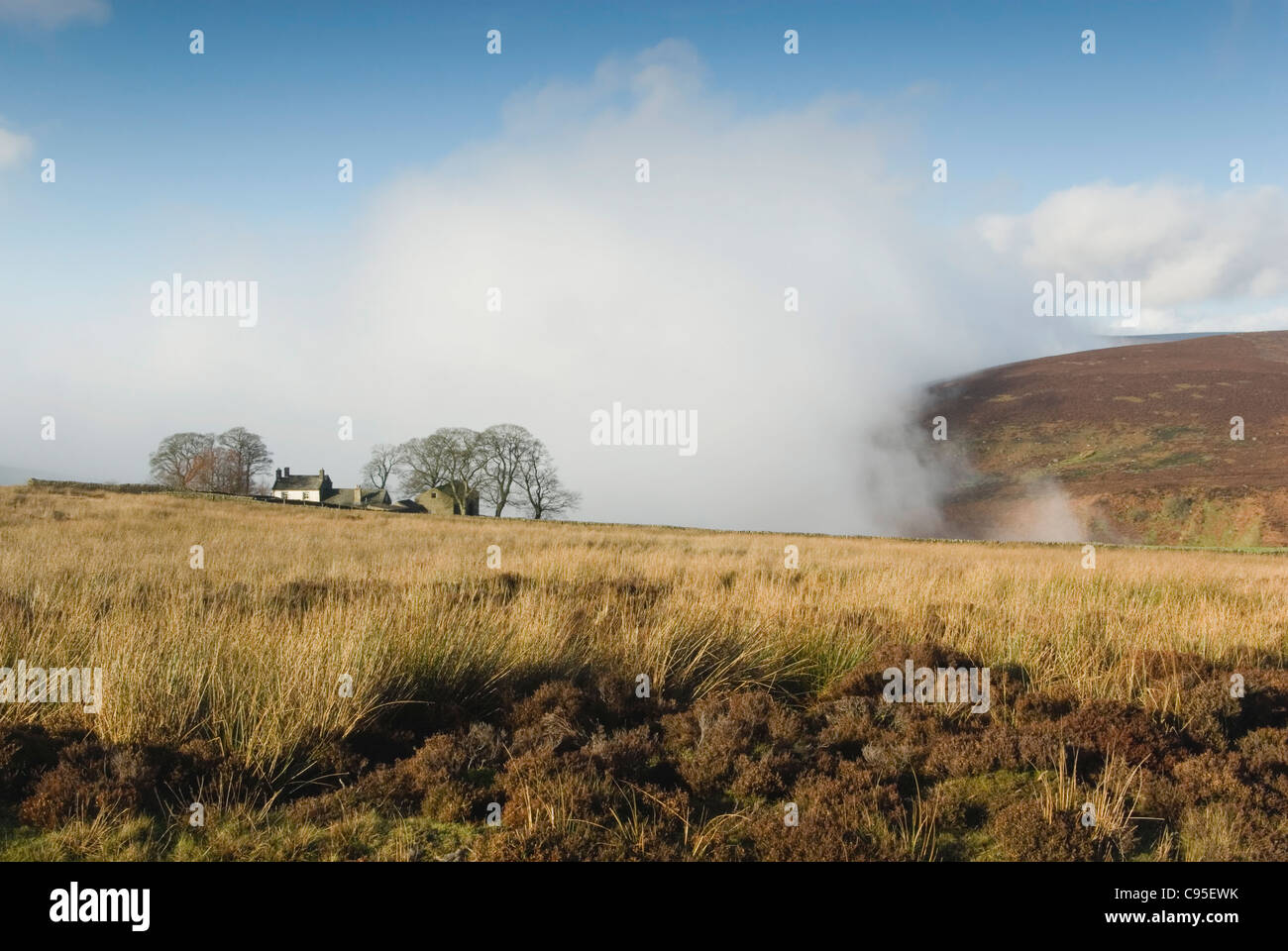 Entfernten Wharfedale Bauernhaus im Herbst. Stockfoto