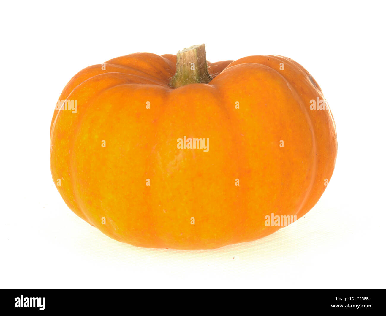 Frische reife große Halloween Neuheit Pumpkin gegen einen weißen Hintergrund mit Platz keine Menschen Kopieren und einen Freistellungspfad Stockfoto