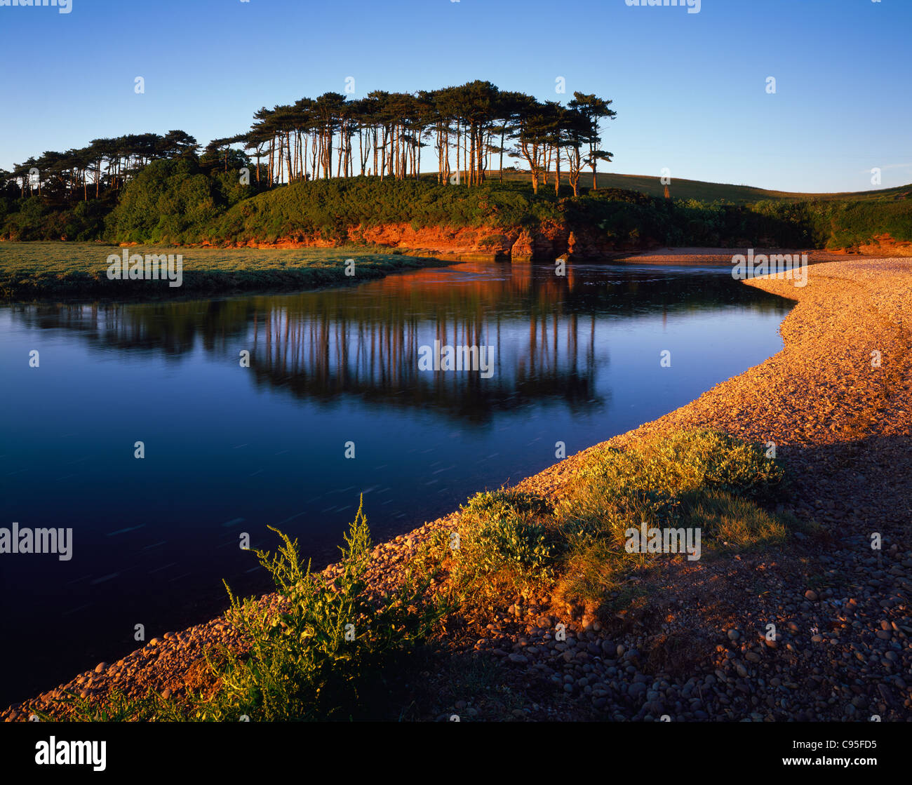 Abendlicht über den Fluss Otter Otter Mündung Mündung im Naturschutzgebiet am Strand von Budleigh Salterton, Devon, England. Stockfoto