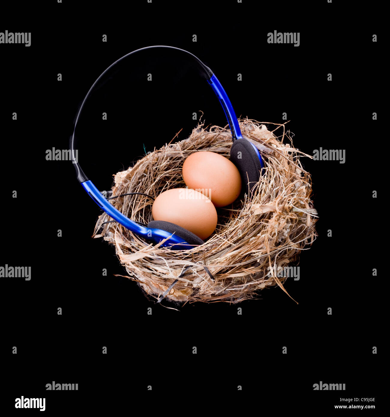 2 X Eiern Musikhören mit Kopfhörer im Vogelnest Stockfoto