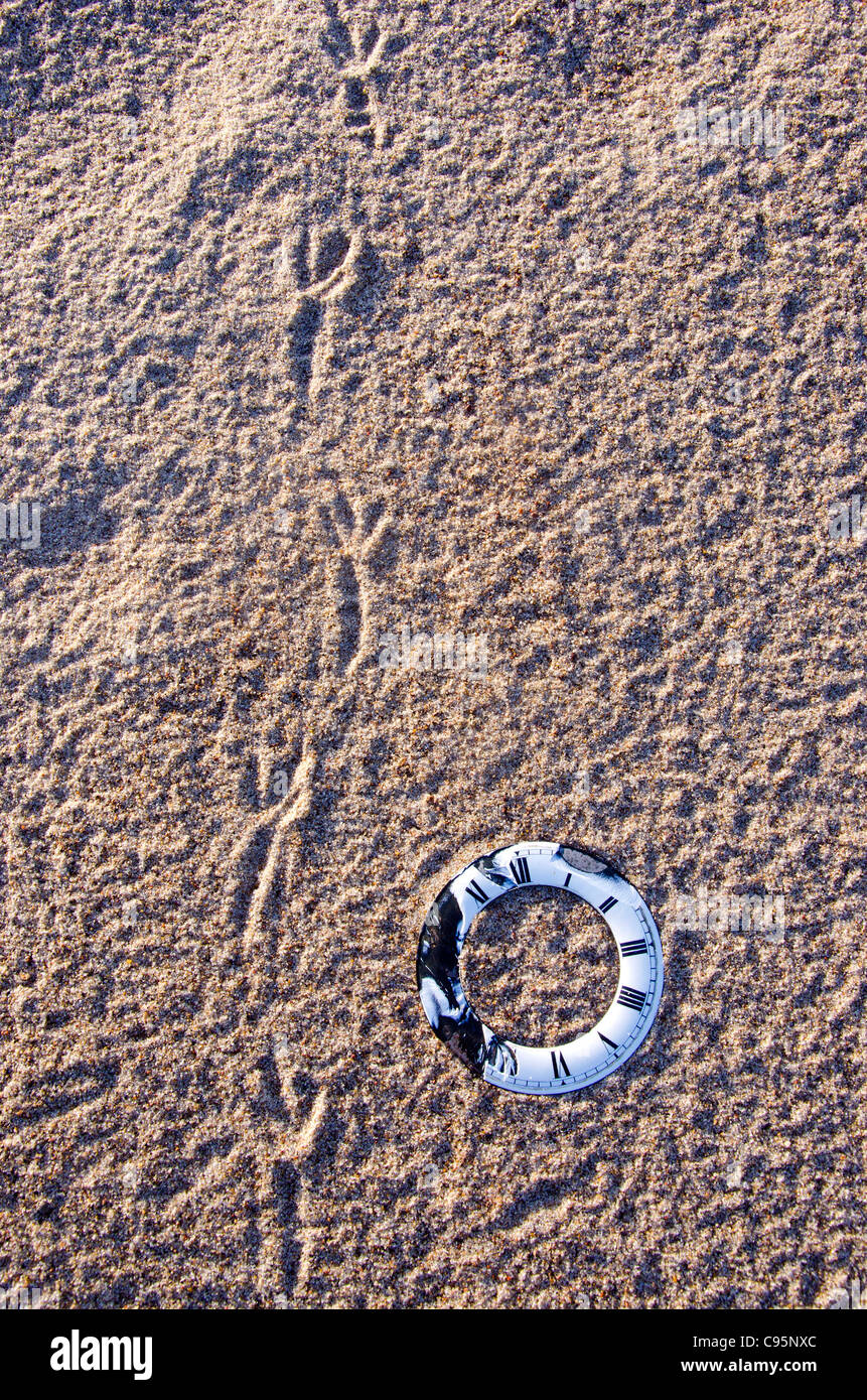 Time-Symbol am Strand Sand und Vogel-Drucke Stockfoto