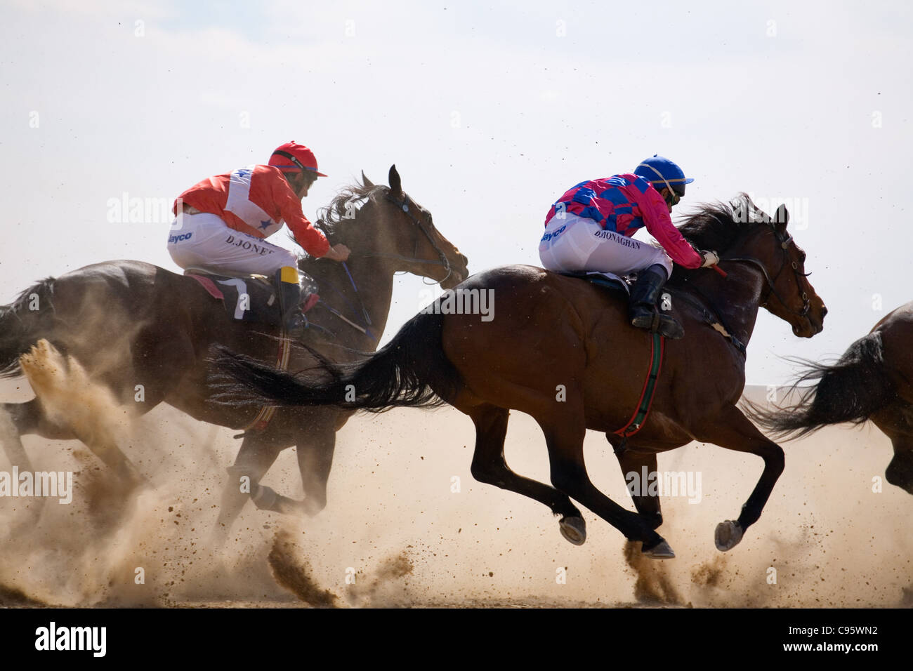 Pferderennen im Outback bei den Birdsville Cuprennen.  Birdsville, Queensland, Australien Stockfoto