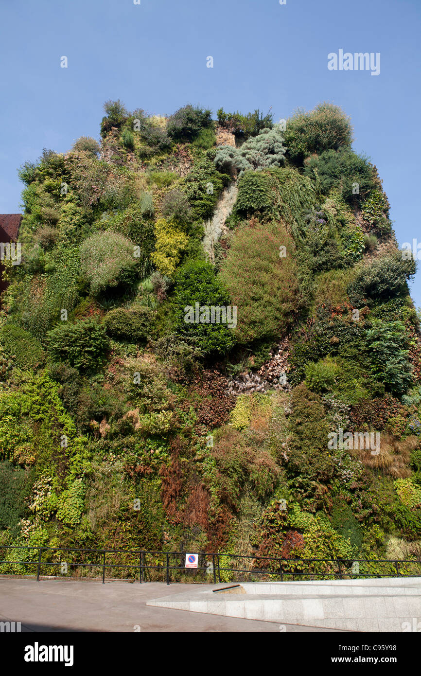 vertikale Madrid Spanien original Kunst Natur Blumen Architektur Gartenpflanze Stockfoto