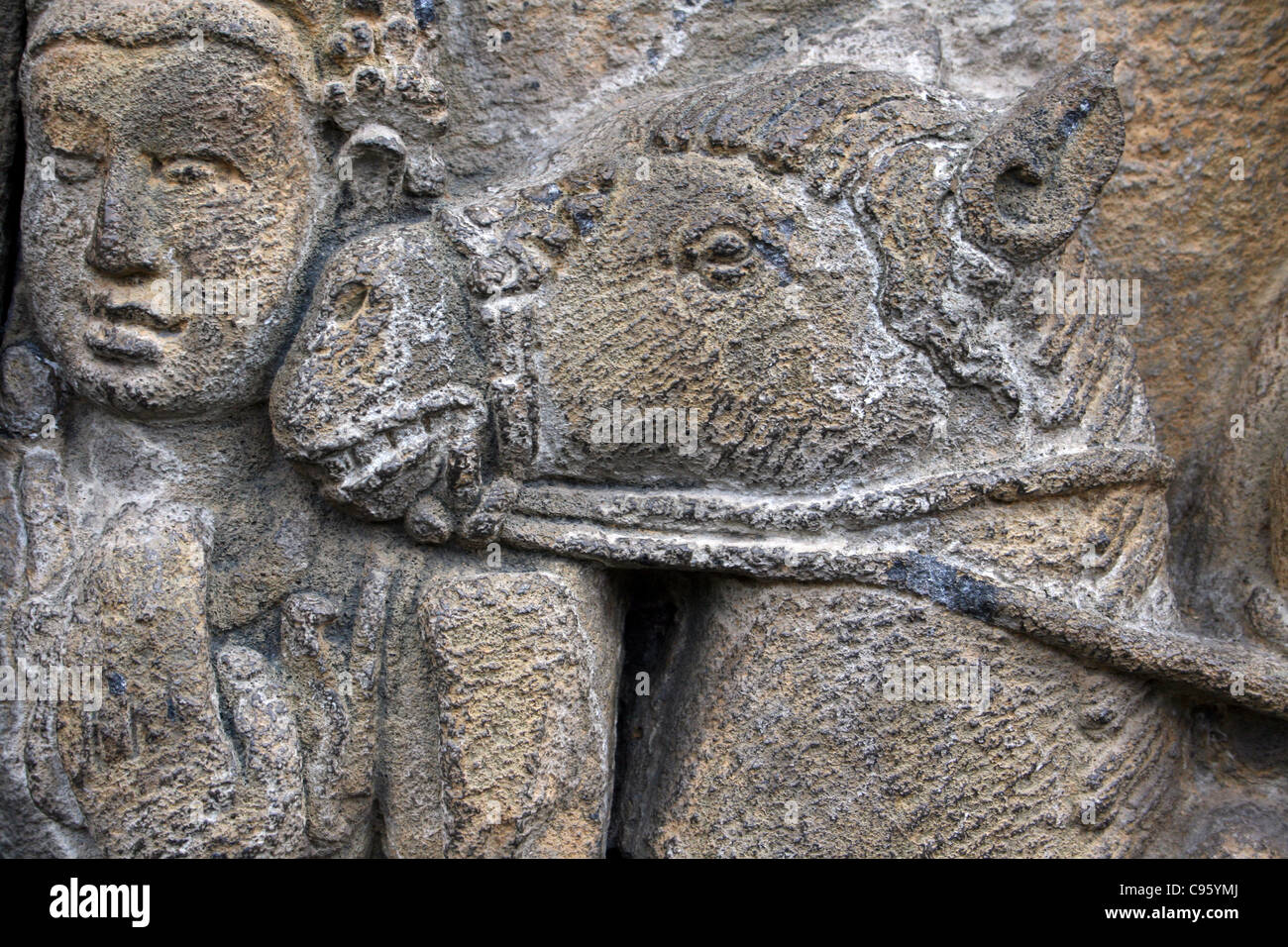 Pferd und Abbildung auf Stein Relief Schnitzerei, Borobudur-Tempel, Java Stockfoto