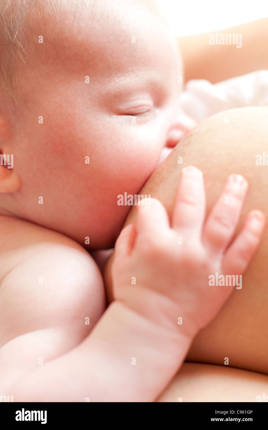 Neugeborenes Baby stillen. Stockfoto