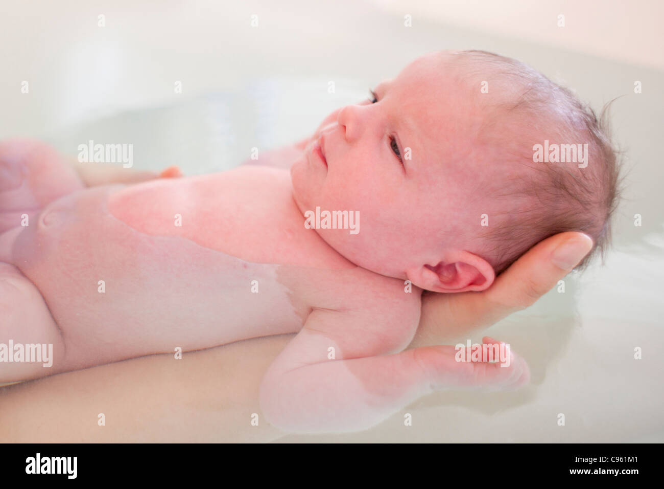 Neugeborenes Baby statt im Wasser von seiner Mutter. Stockfoto
