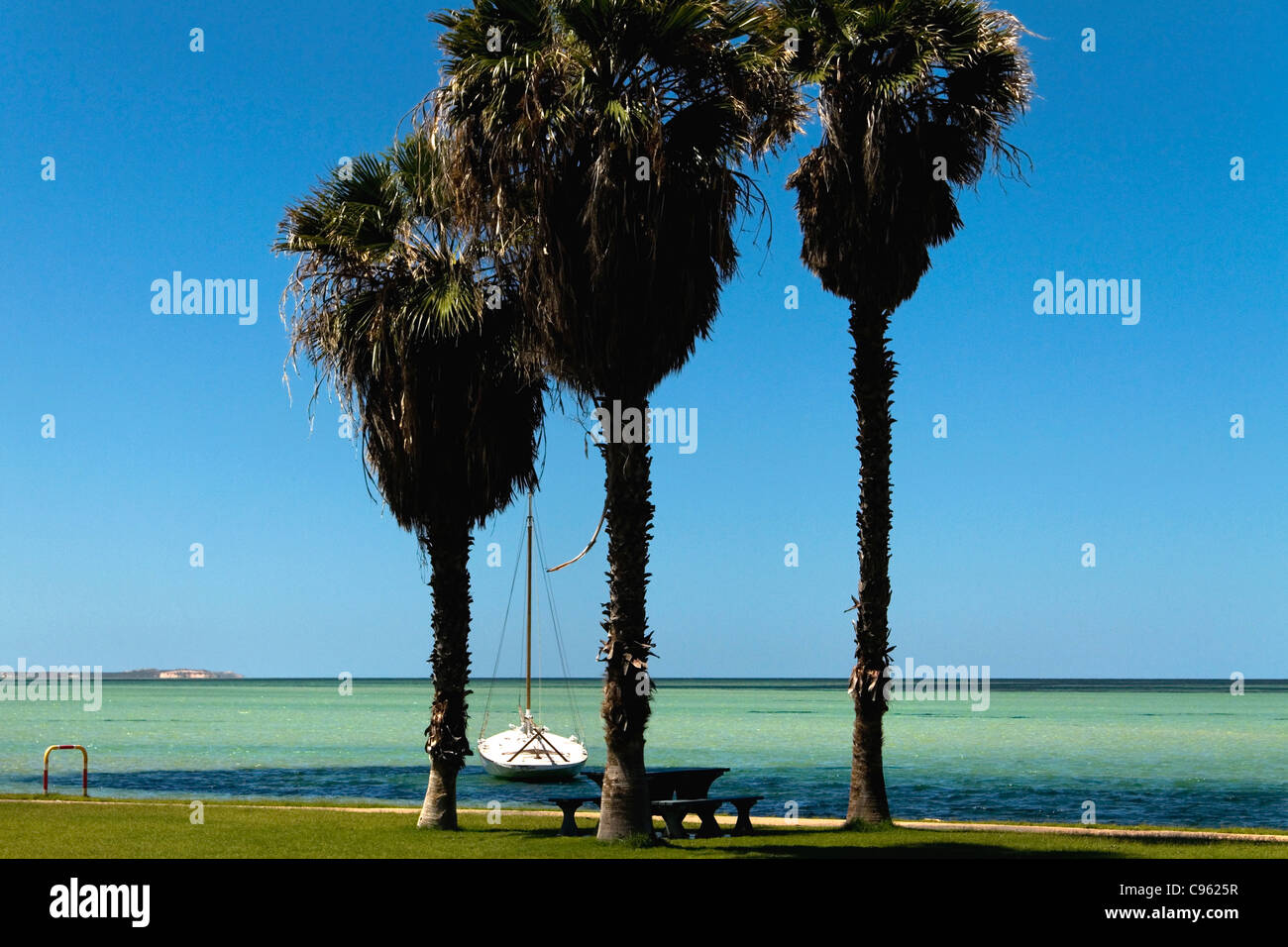 Strandpromenade, Denham Nordwest Australien Stockfoto