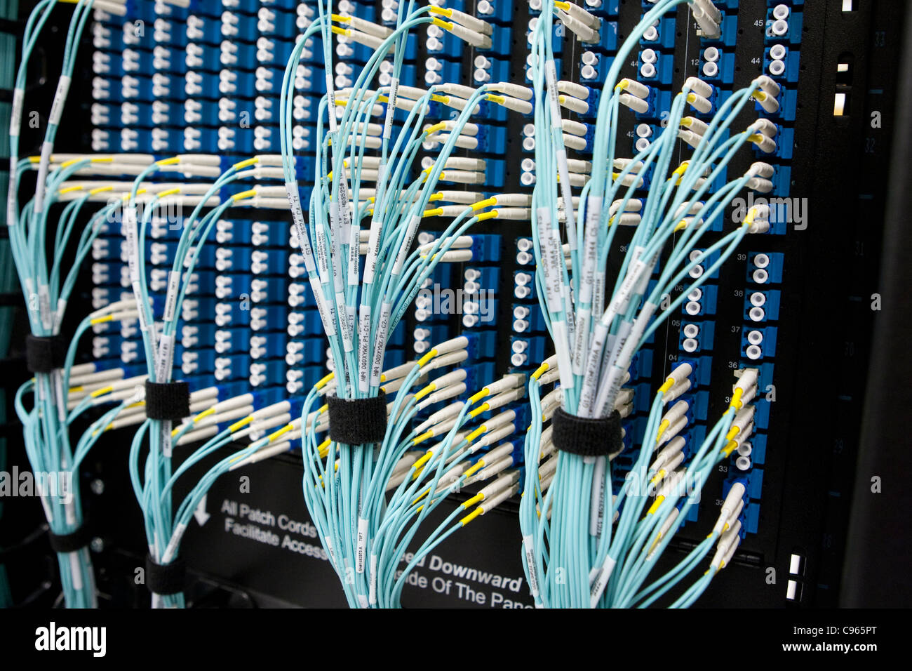 Bündel von System Netzwerkkabel verbunden mit großen EDV-System mit einer elektrischen Leistung Verwaltung Anlage in Texas Stockfoto