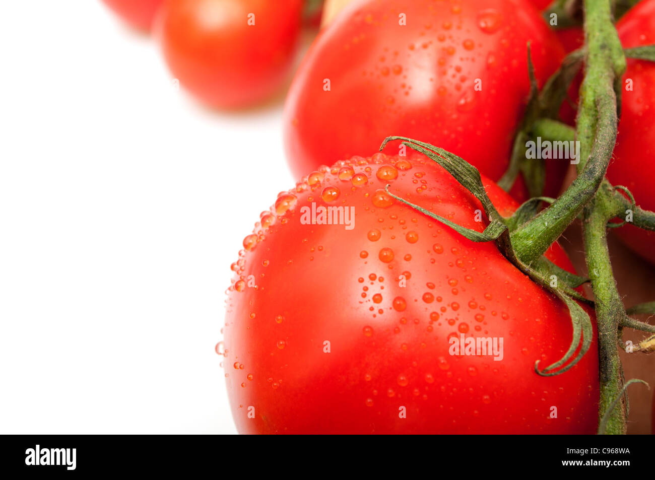 Detail aus frischen Tomaten mit Tau von Wassertropfen auf weißem Hintergrund Stockfoto