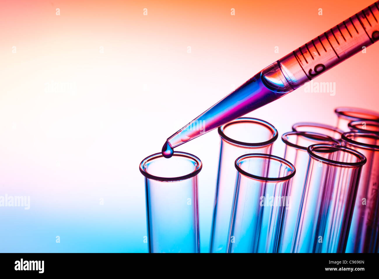 Pipette Flüssigkeit hinzufügen eines mehrere Reagenzgläser Stockfoto