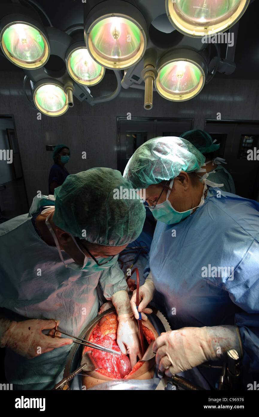 Ärzte der gynäkologischen Chirurgie im OP-Saal Stockfoto