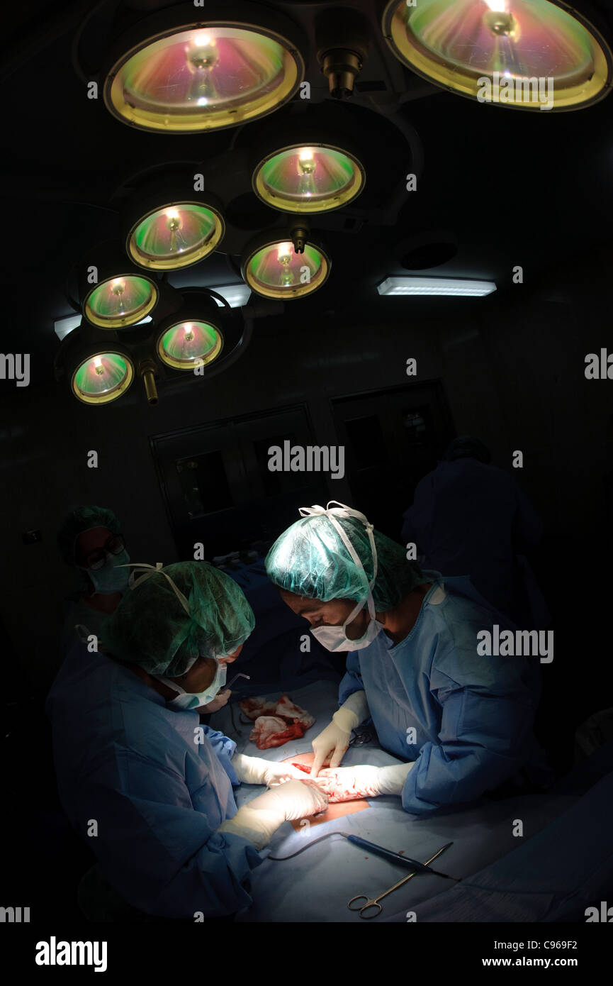 Ärzte der gynäkologischen Chirurgie im OP-Saal Stockfoto