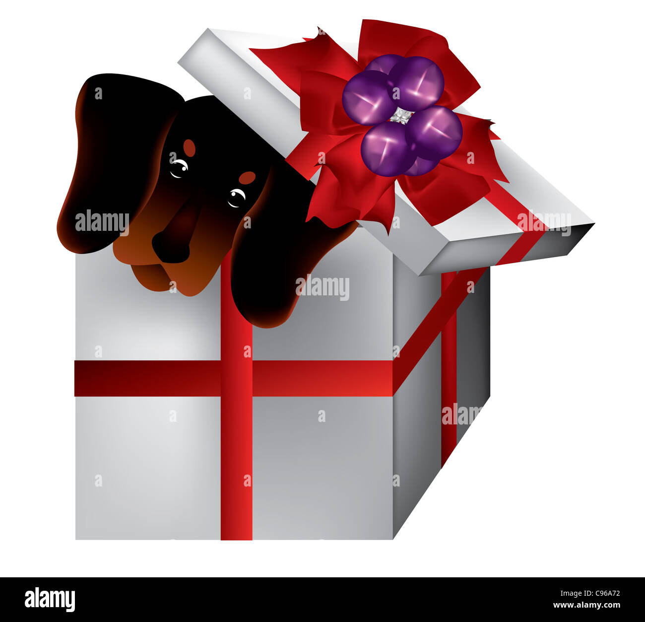 Hund Dackel in einer Geschenkbox Stockfoto