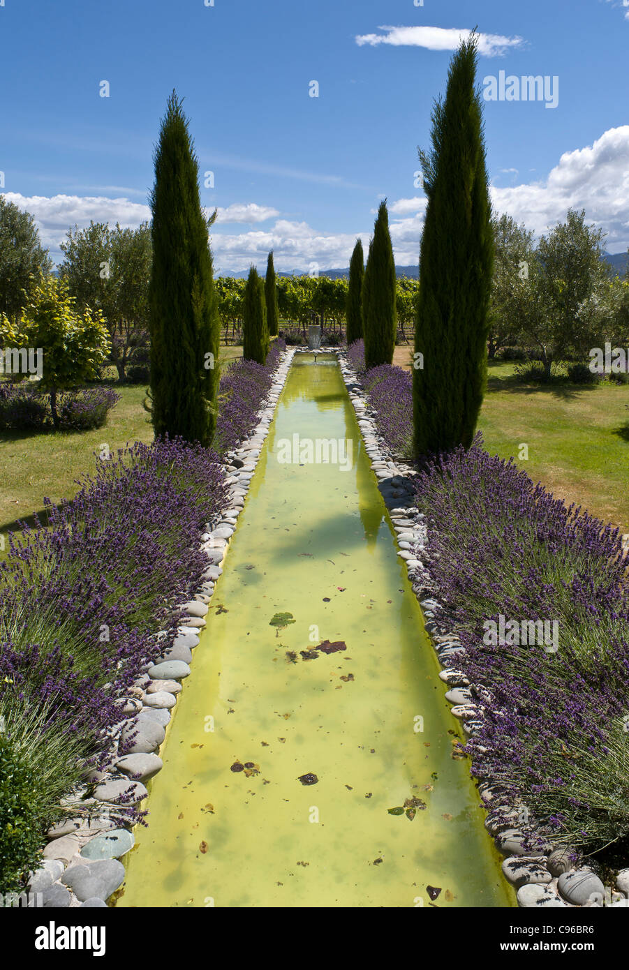 Lavender border Fotos und Bildmaterial in hoher Auflösung Alamy