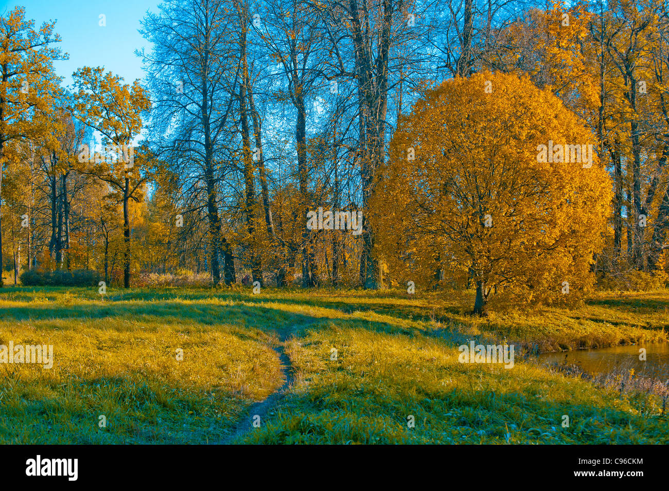 Herbstes Landschaft Stockfoto