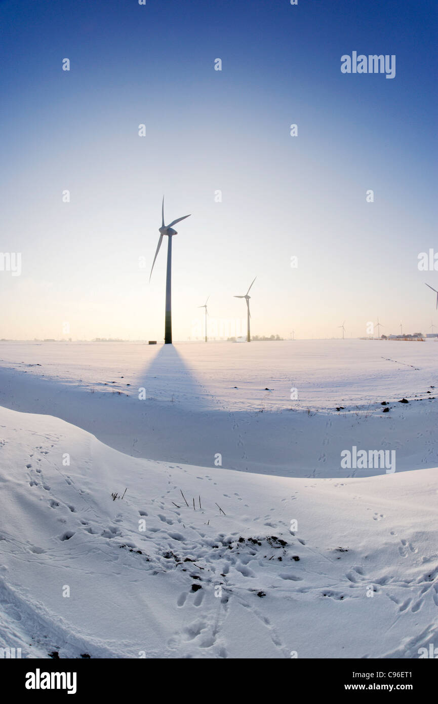 Windmühlen, Schnee, Winter, Kronprinzenkoog Dorf, Bezirk Kreis Dithmarschen, Schleswig-Holstein, Deutschland, Europa Stockfoto