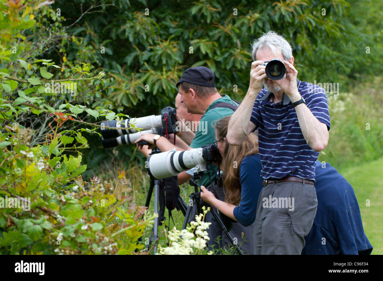 Fotografische Gruppe; Cornwall; UK Stockfoto