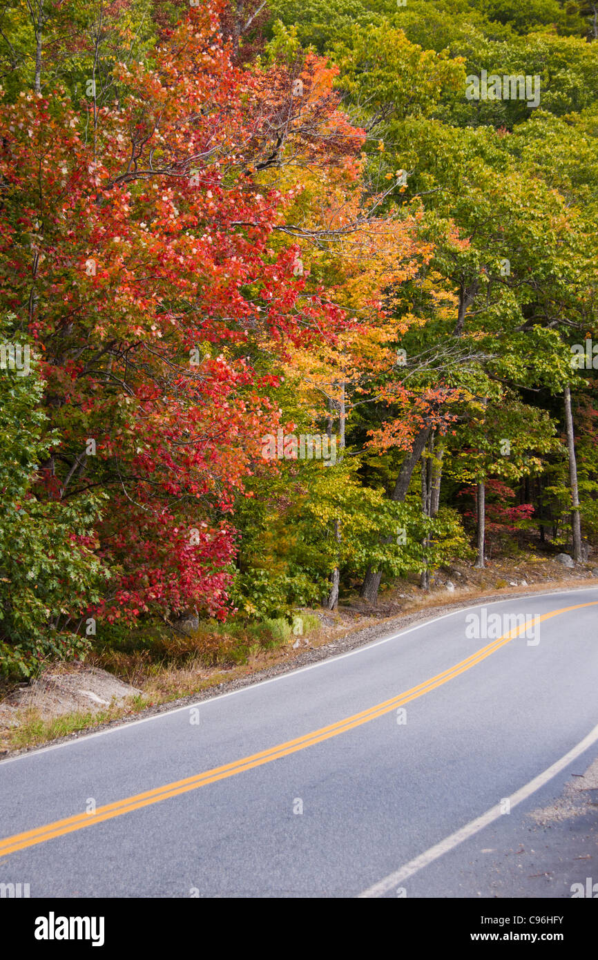 Der landschaftlich reizvolle Highway US 1 nördlich von Bar Harbor nach Lubec, Maine, fängt die unglaublichen Farben von Maine im frühen Herbst ein. Stockfoto