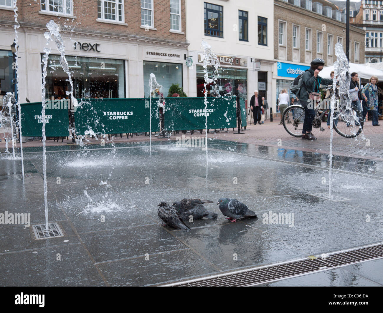 Vögel nehmen Sie eine Dusche in der Plaza-Brunnen in Kingston, London, Marktplatz Stockfoto