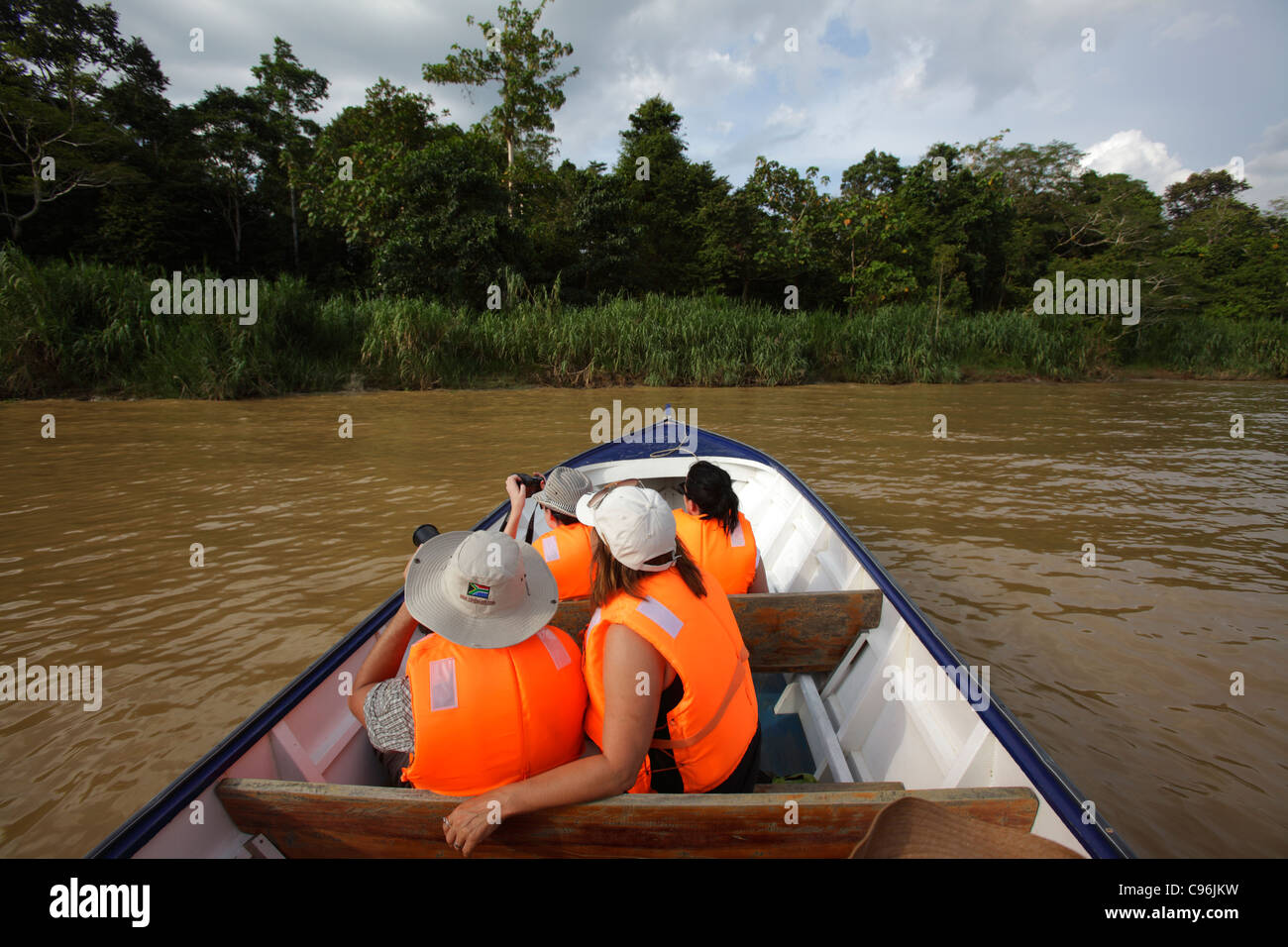 Bootsfahrt auf dem Kinabatangan Fluss, Sabah, Borneo, Malaysia Stockfoto