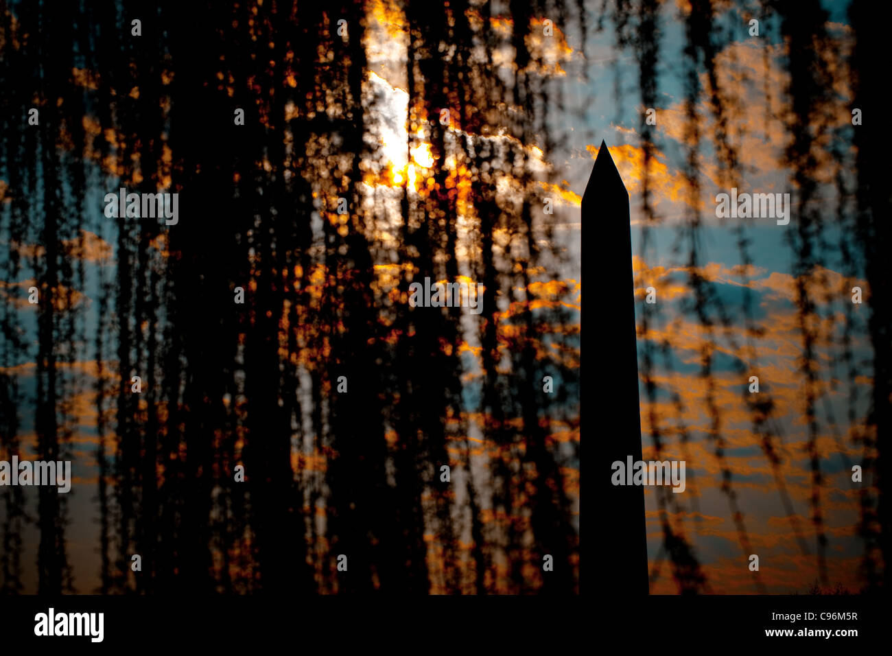 Washington Monument durch Äste Willow Stockfoto