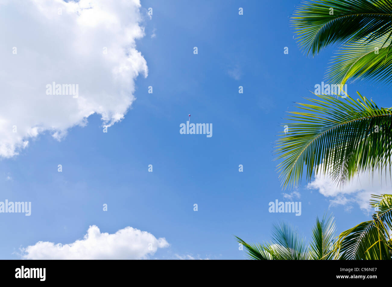 Große rosa und weißes Quadrat geformte Ballon hoch im Himmel mit Kanten einer Wolke und Kokospalme in Nordthailand Stockfoto