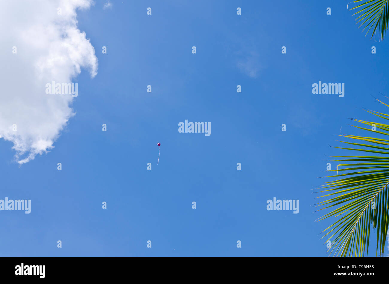 Große rosa und weißes Quadrat geformte Ballon hoch im Himmel mit Kanten einer Wolke und Kokospalme in Nordthailand Stockfoto