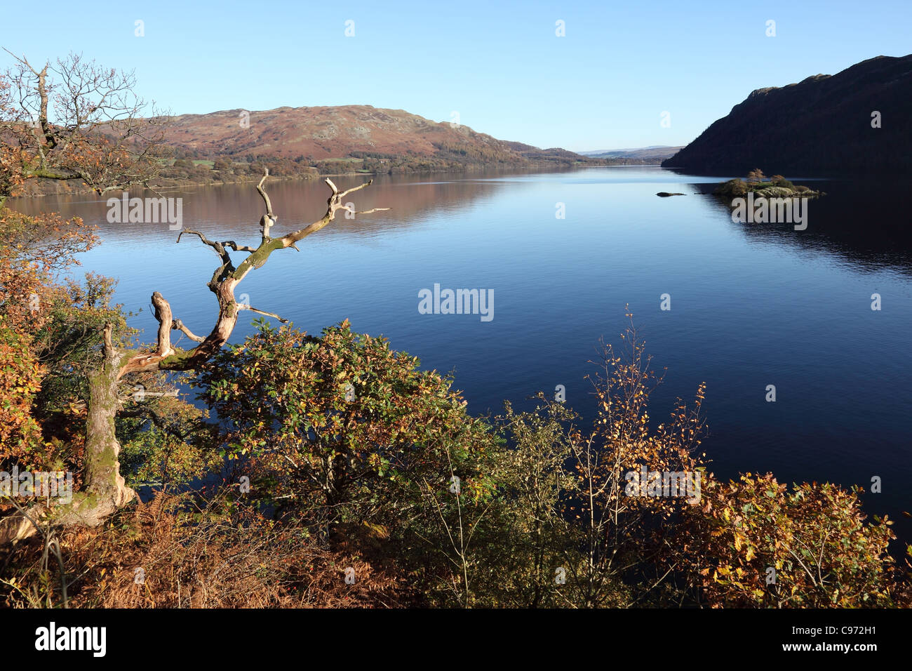 Herbstliche Bäume Ullswater Seenplatte Cumbria UK Stockfoto