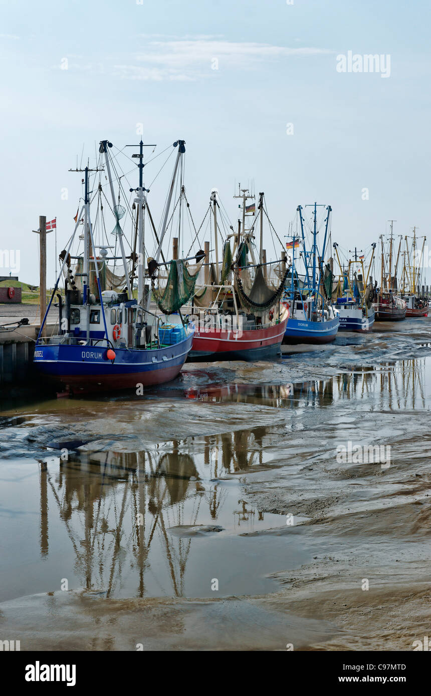 Fischereihafen in Dorum-Neufeld, Nordsee, Niedersachsen, Deutschland Stockfoto