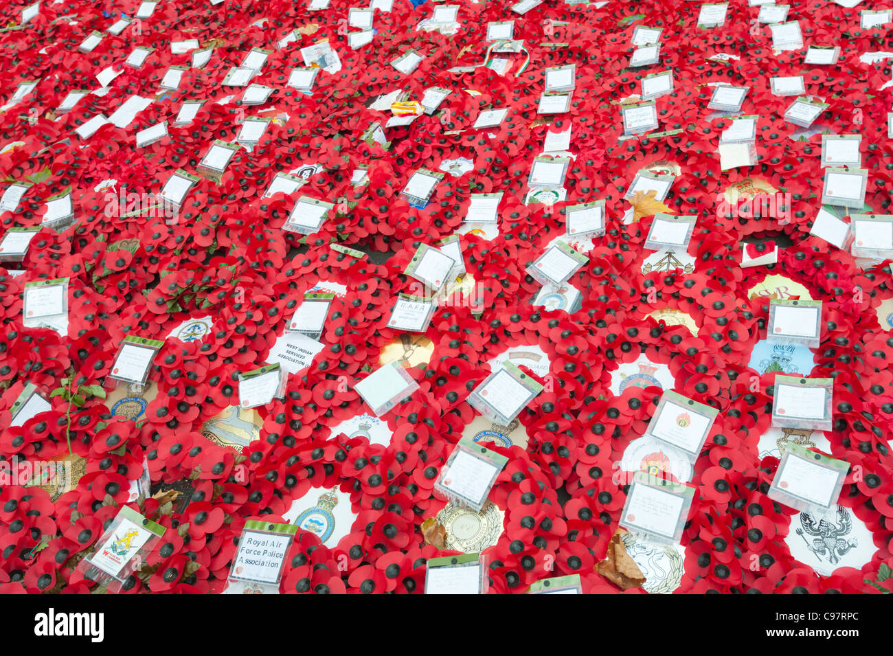 Kränze von Mohn 2011 neben der Kenotaph in Whitehall, Central London, England, am Remembrance Day Sonntag, platziert. Stockfoto