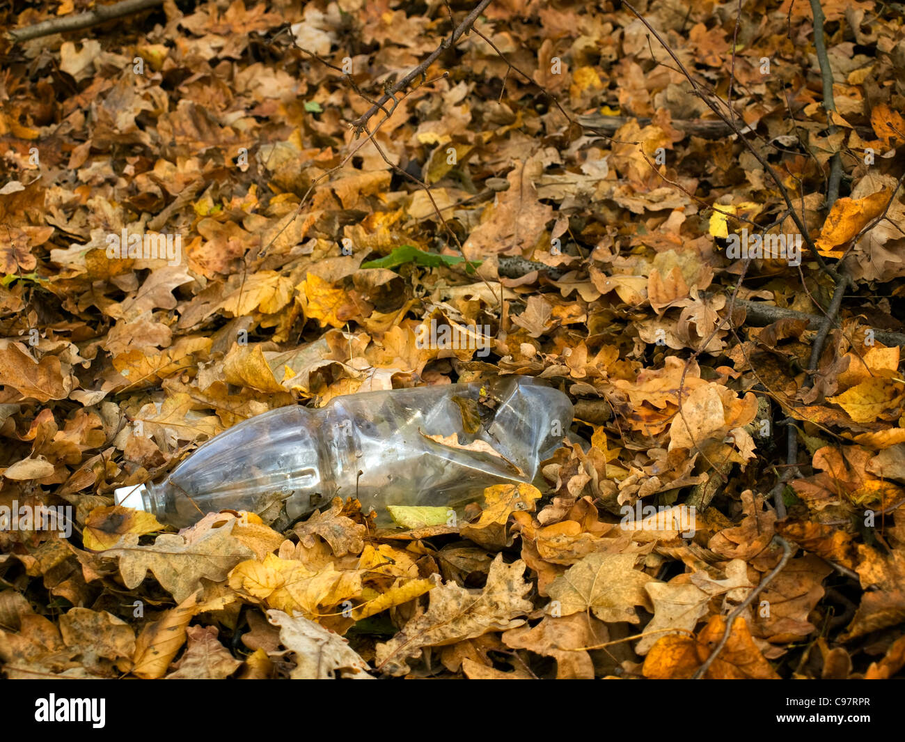 Kunststoff-Flasche im Wald entsorgt... Stockfoto