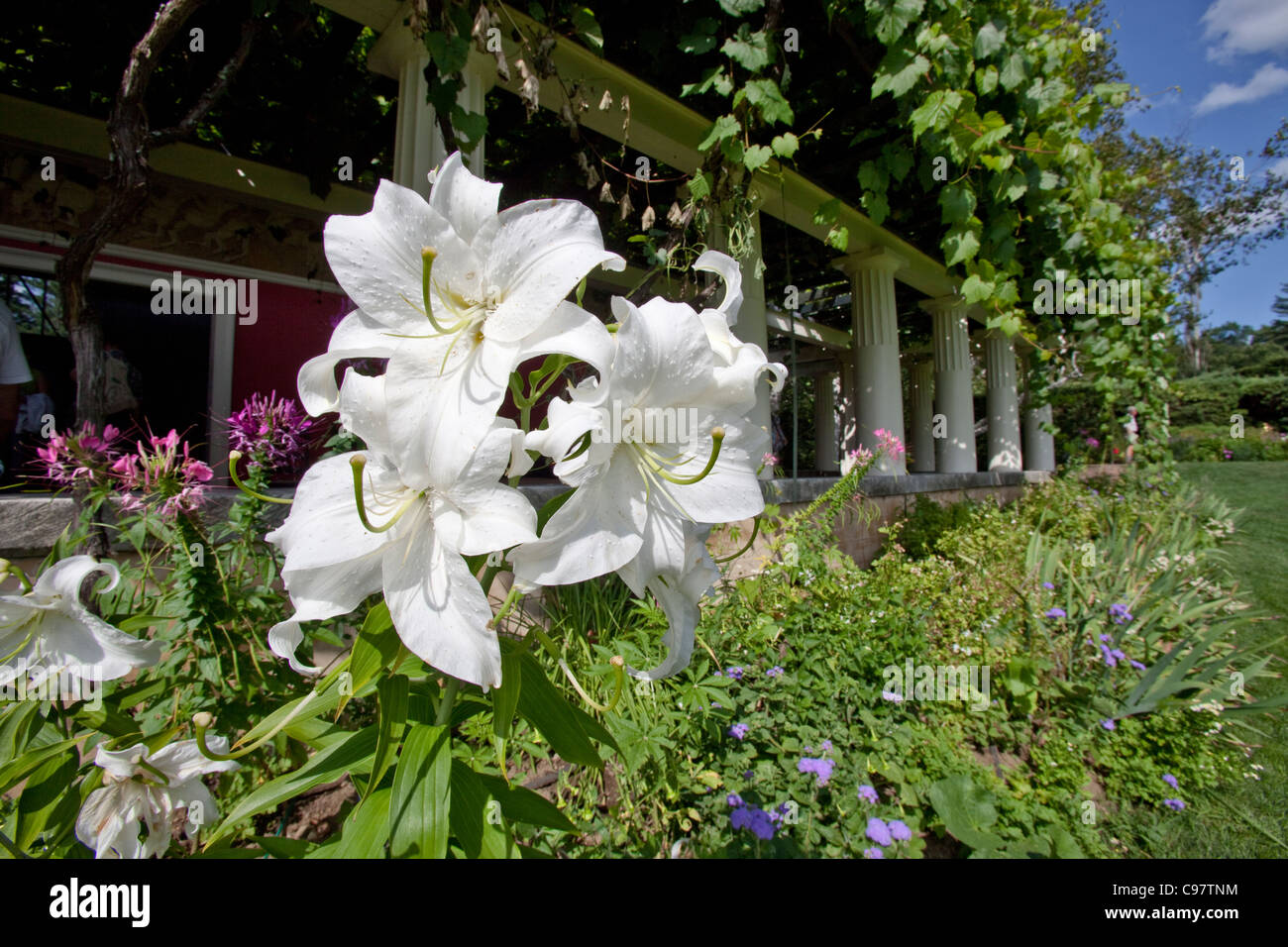 Garten am Augustus Saint-Gaudens National Historic Site Stockfoto