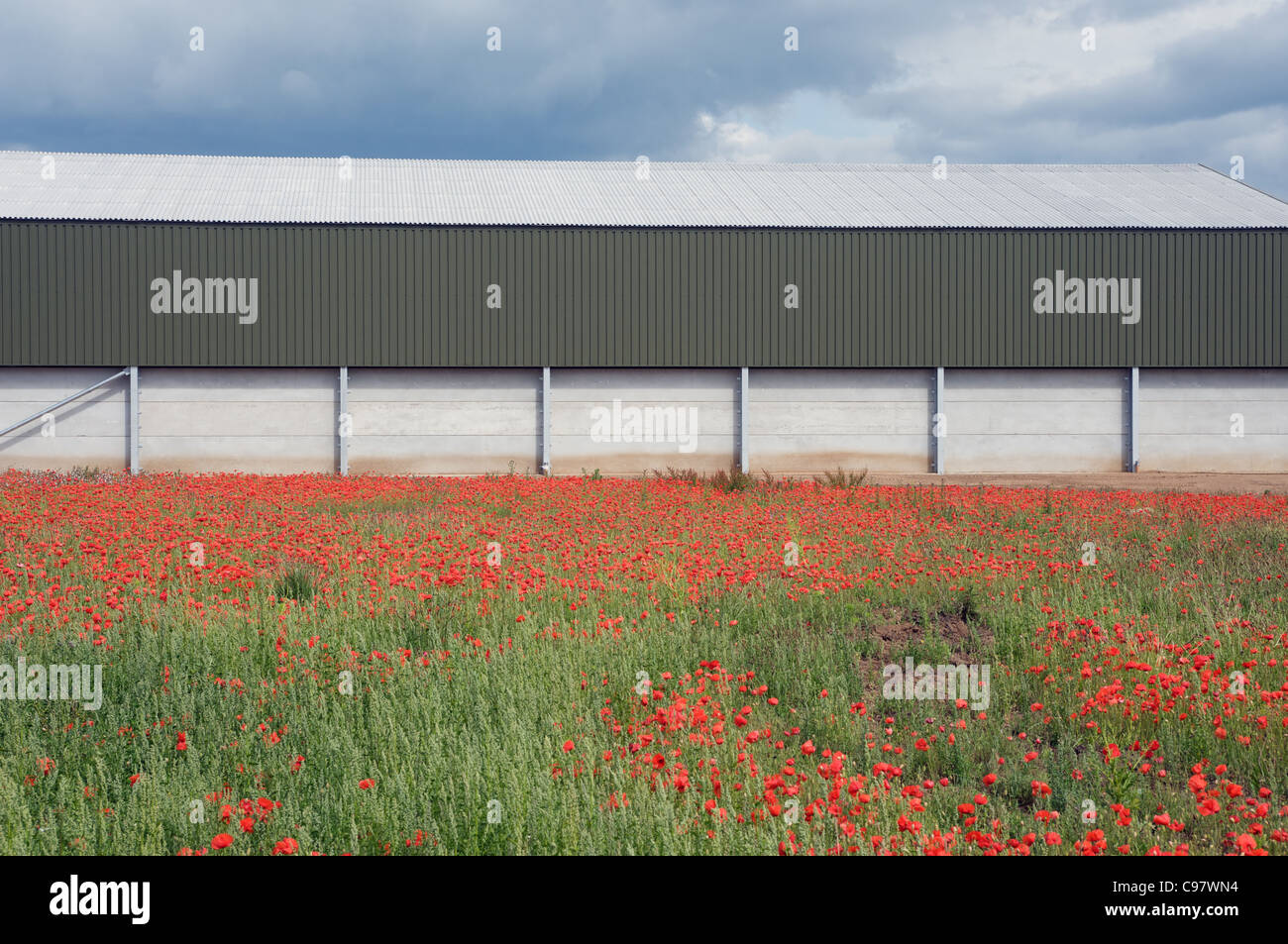 Moderne landwirtschaftliche Gebäude, Alderton, Suffolk, UK. Stockfoto