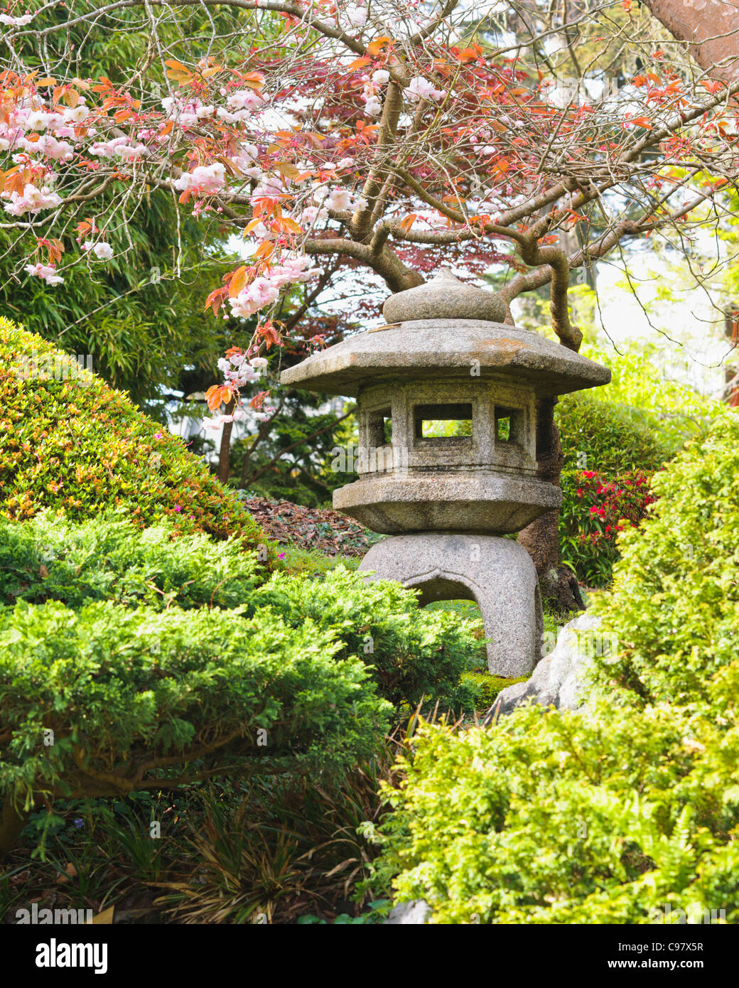 Stein Laterne Japanese Tea Garden San Francisco Stockfoto Bild