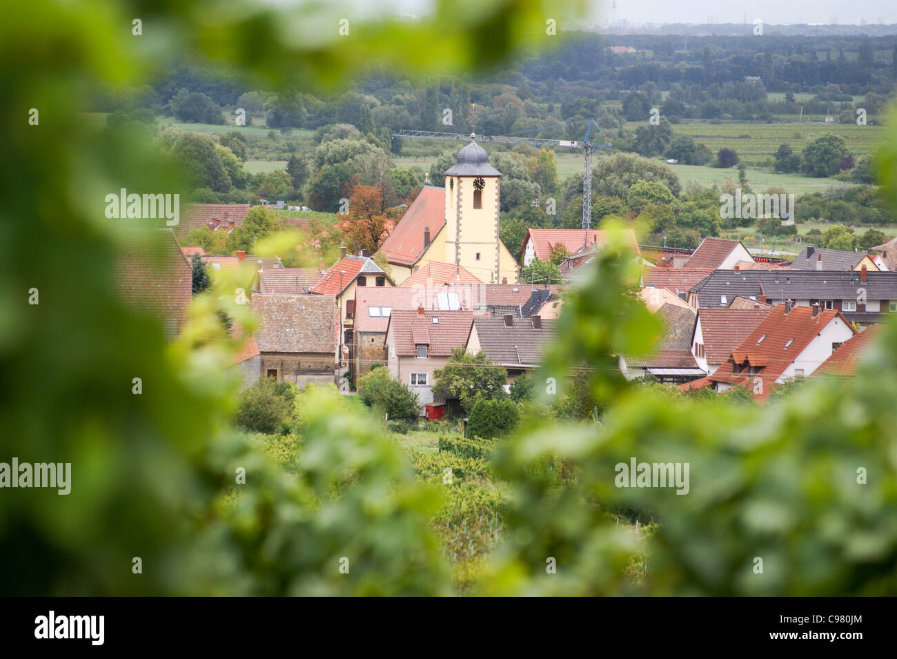 Wein-Dorf Ungstein in der Nähe von Bad Dürkheims im Bereich Wein Pfalz, Rheinland-Pfalz, Deutschland Stockfoto