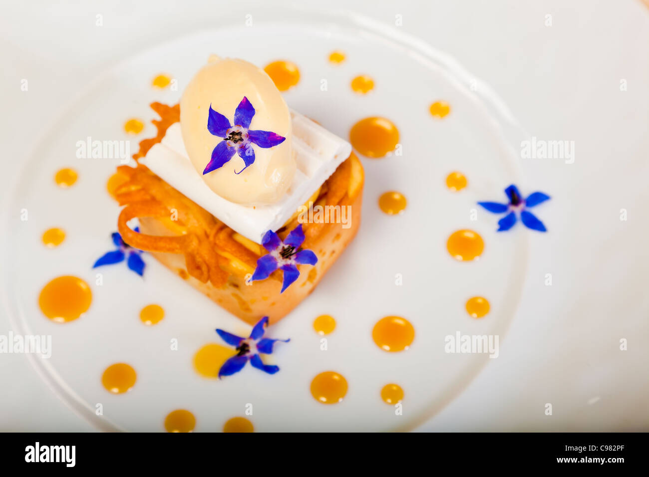 Neue Version des Lemon Tart., CHATEAU SAINT-MARTIN & SPA - 2490 Avenue des Templiers - BP 102-06142 VENCE CEDEX Tél.. : + 33 Stockfoto