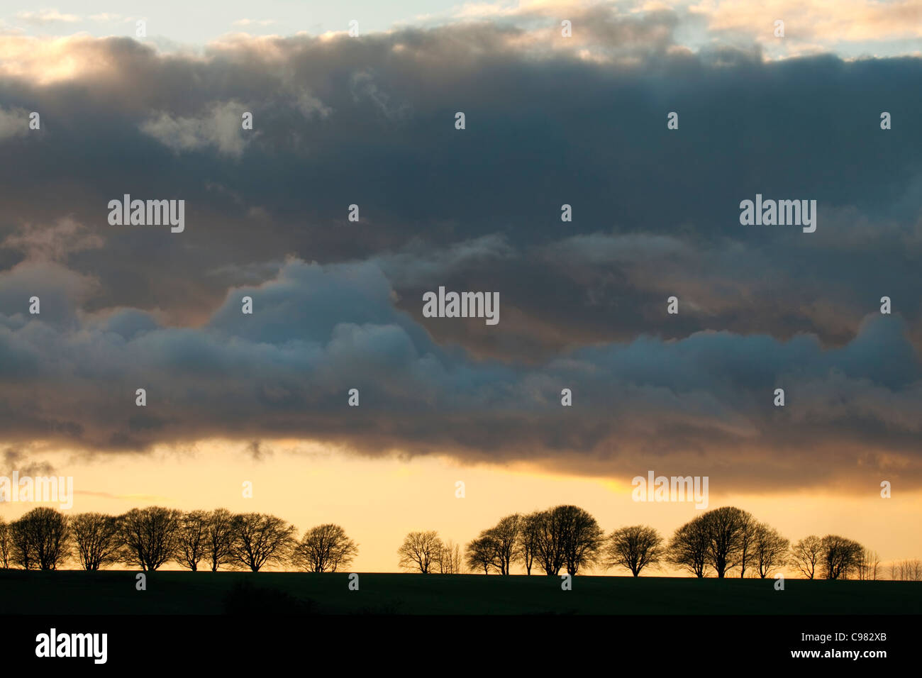 Gewitterwolken über eine Reihe von Bäumen, die Silhouette gegen den Horizont Stockfoto