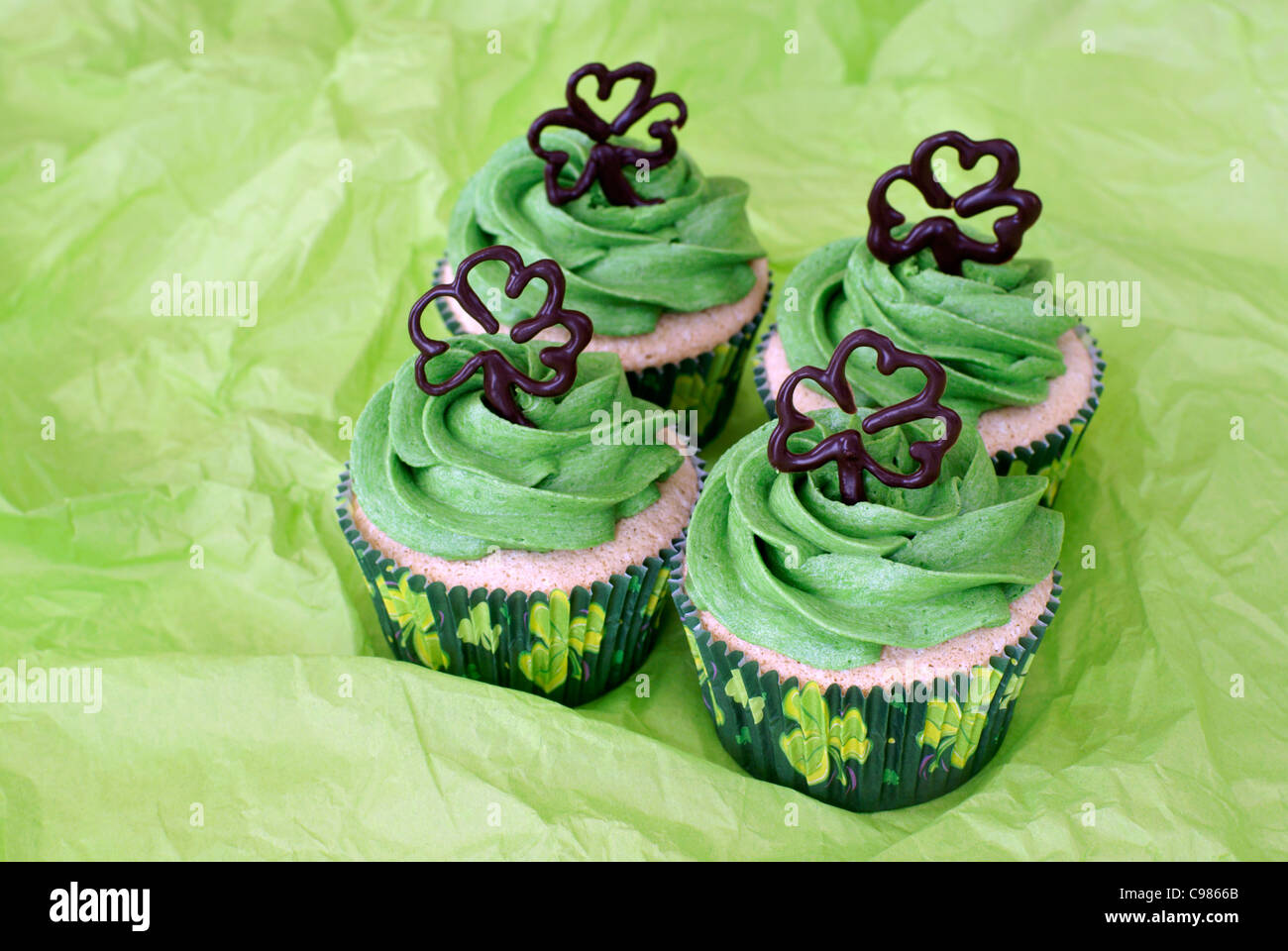 Vanille Cupcakes dekoriert für die irische traditionelle St. Patricks Day Stockfoto