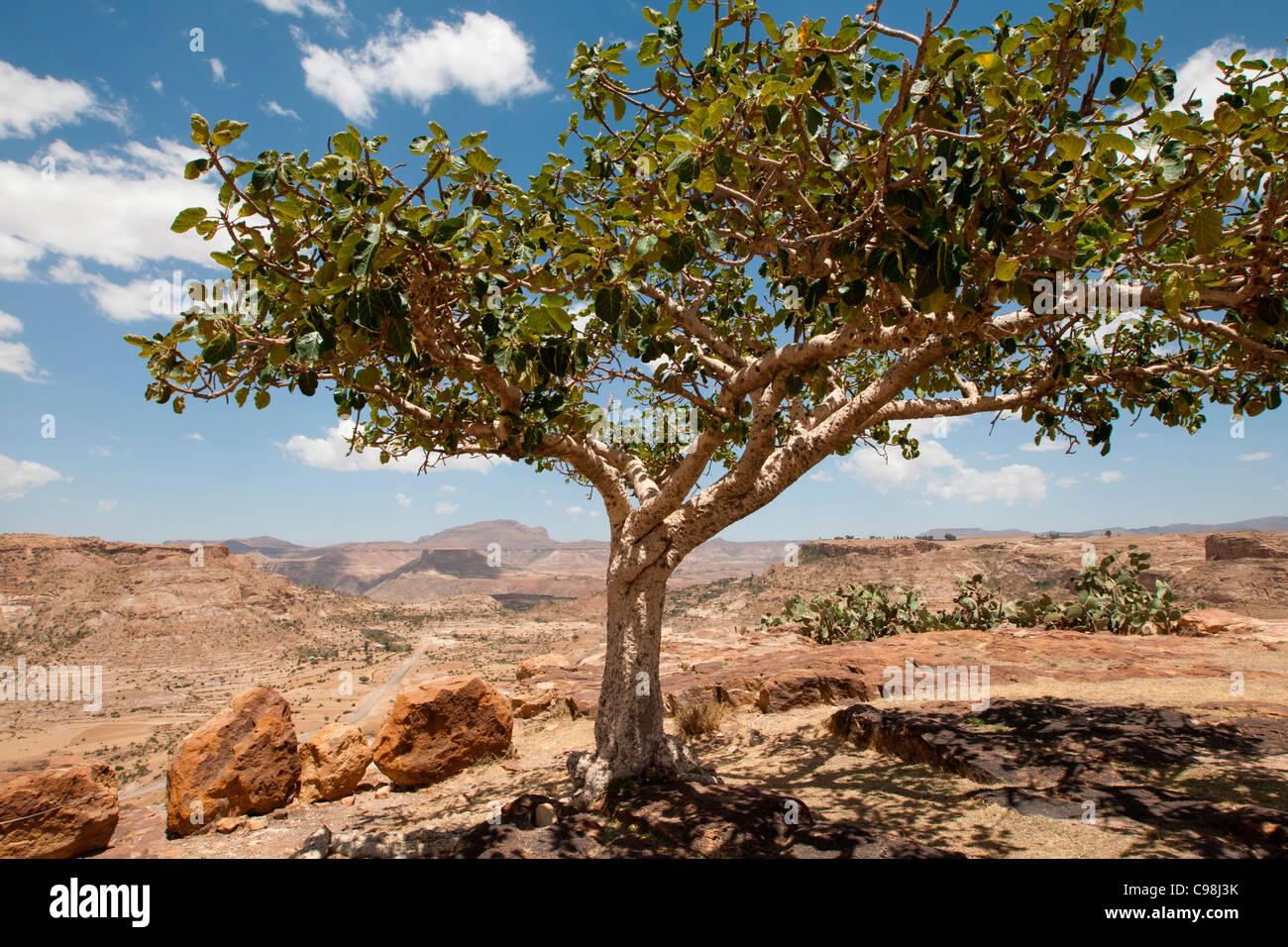 Atemberaubende Aussicht vom Berg Kloster Debre Damo an der eritreischen Grenze in Tigray, Nord-Äthiopien, Afrika. Stockfoto