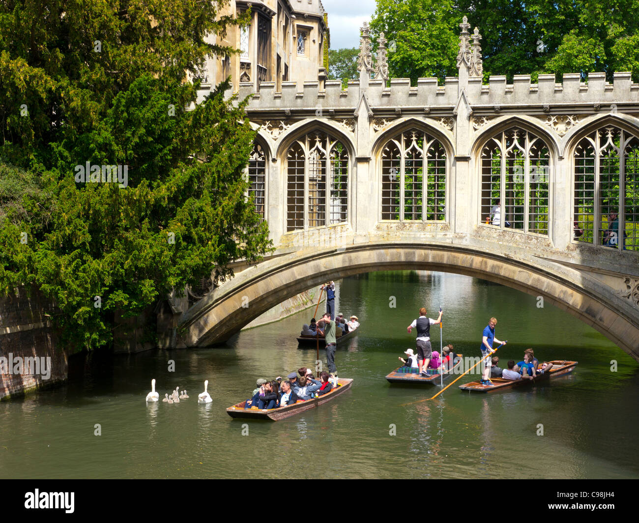 Stechkahn fahren unter der Seufzerbrücke, St. Johns College, Cambridge. Stockfoto