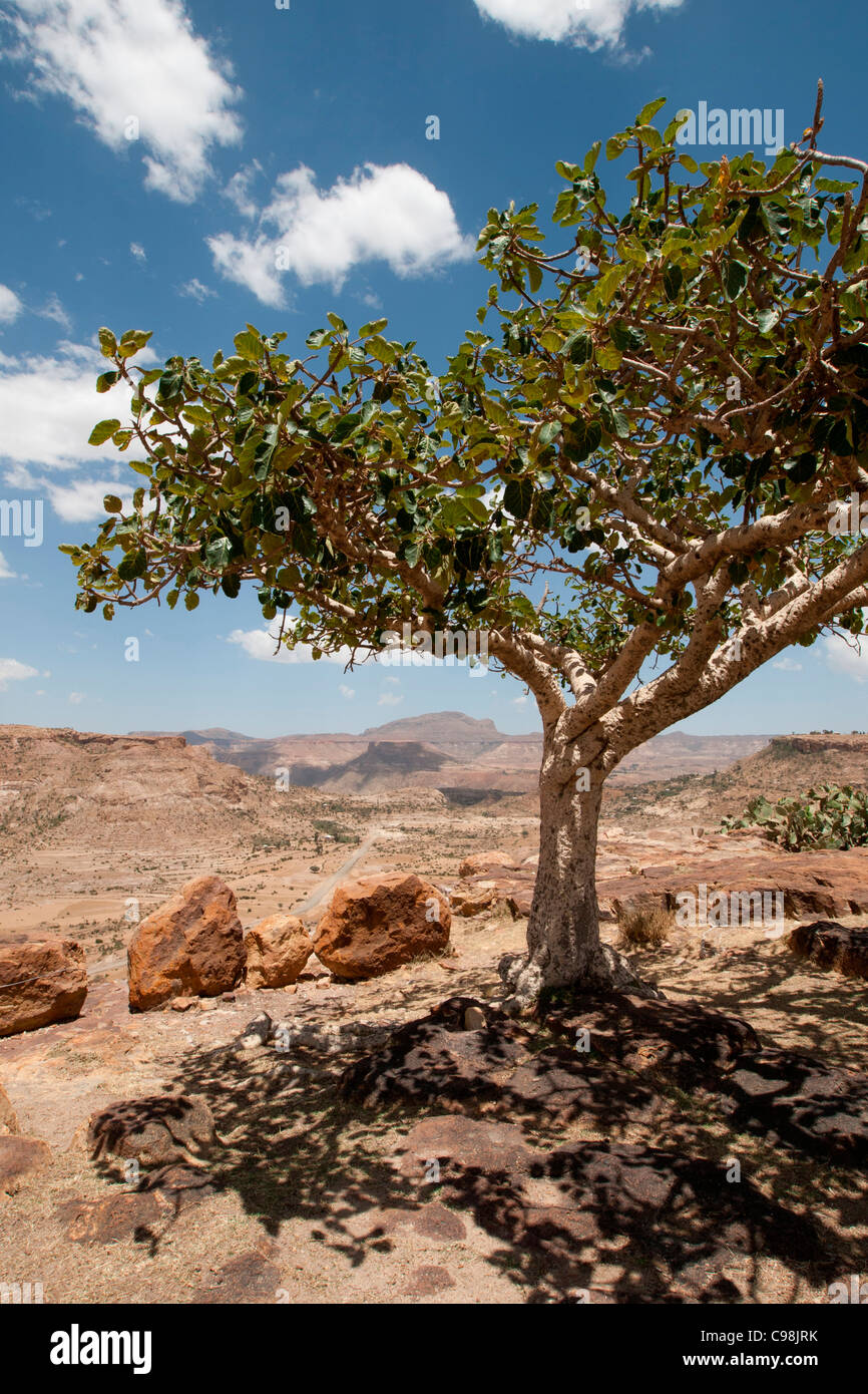 Atemberaubende Aussicht vom Berg Kloster Debre Damo an der eritreischen Grenze in Tigray, Nord-Äthiopien, Afrika. Stockfoto